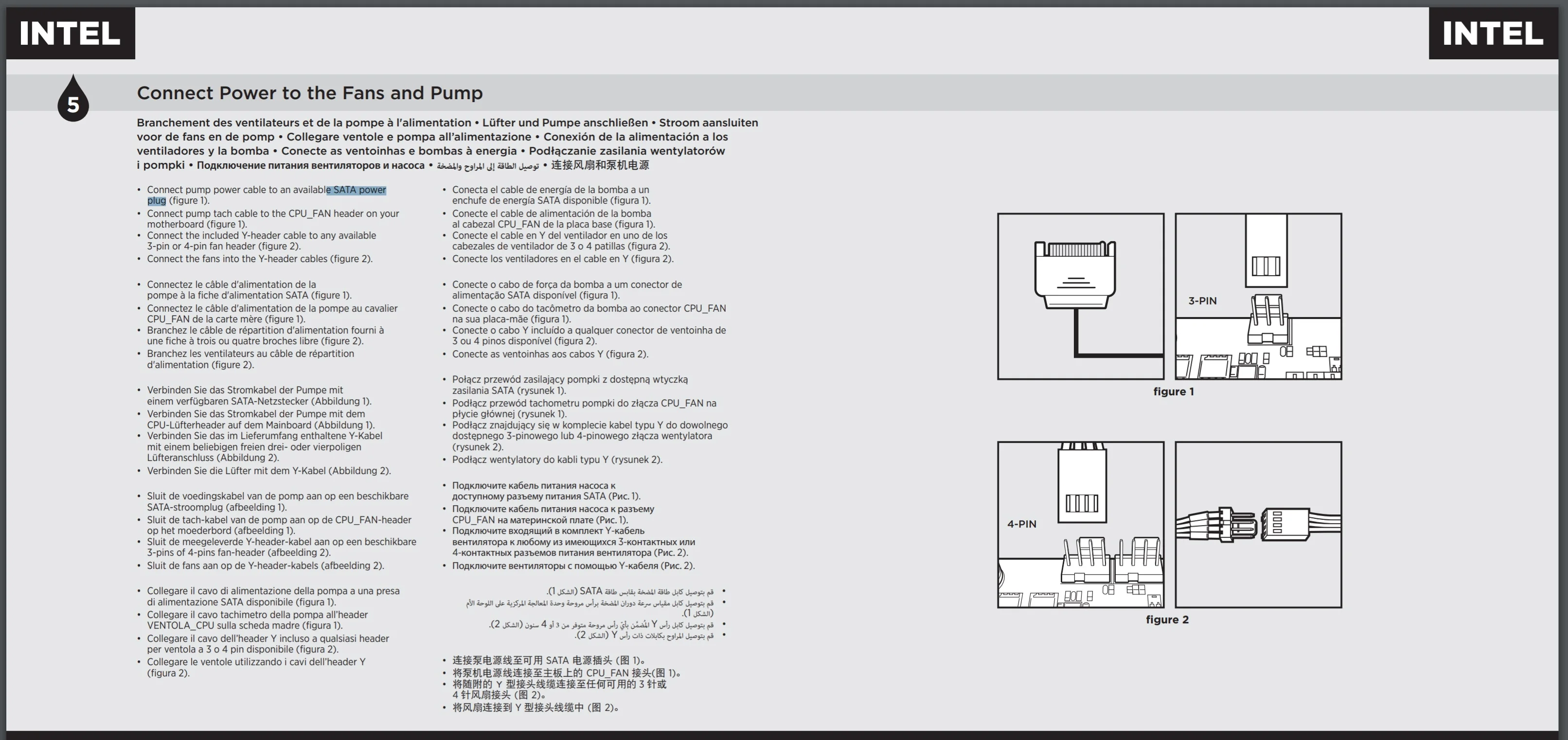 123.webp