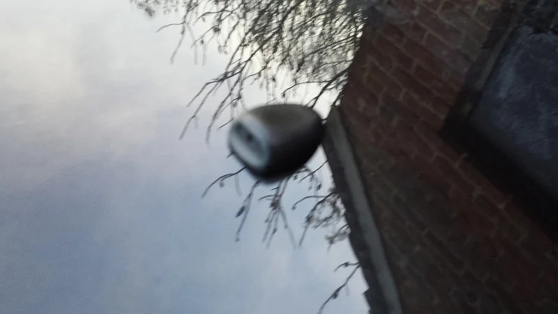 13133929473_e225b2529a_c.webp