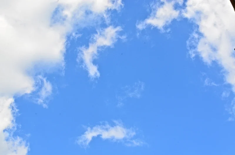 13779675645_73f2cbf31a_c.webp