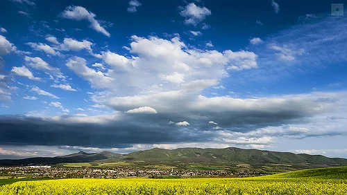 13900114875_ddd9e35614.webp