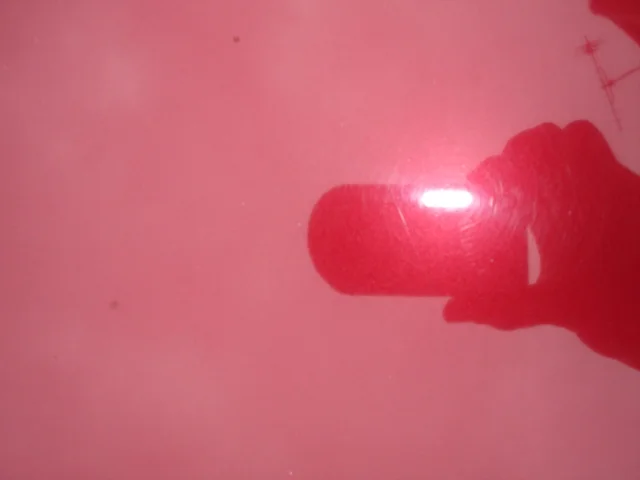 14.webp