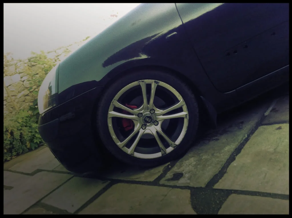 14.webp