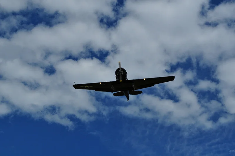 14180112779_5407b24520_c.webp