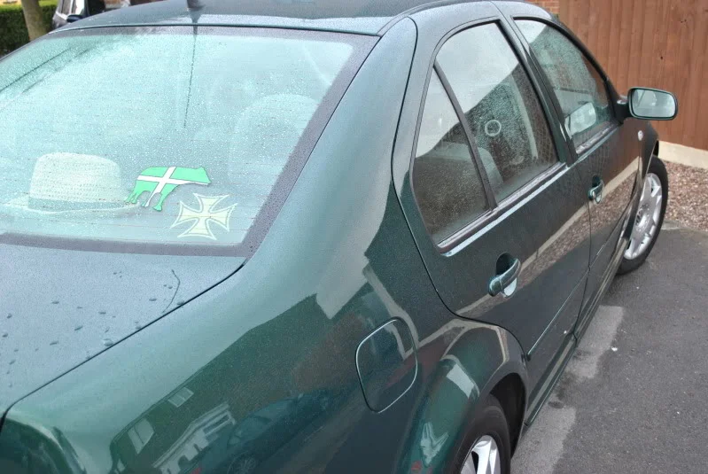 142.webp