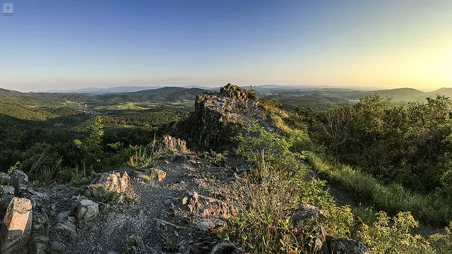 14374310153_4f1817c406_z.webp