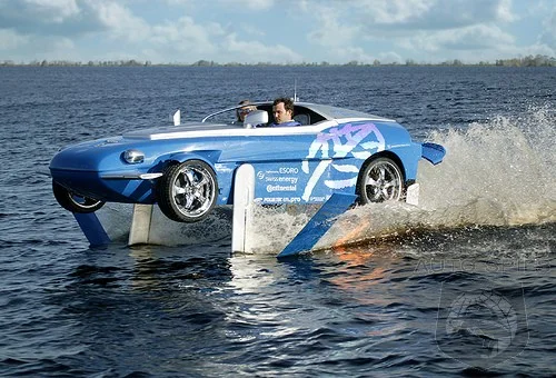 1447889639_3d80d0ca46.webp