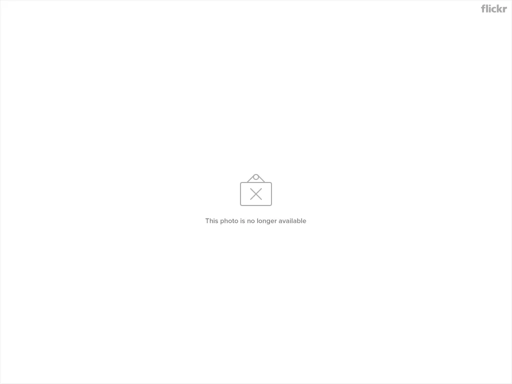 14517703834_de8db5f6ed_b.webp