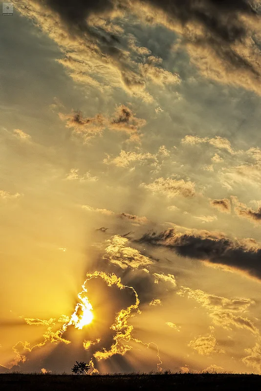 14591530340_ee98a41c9f_c.webp