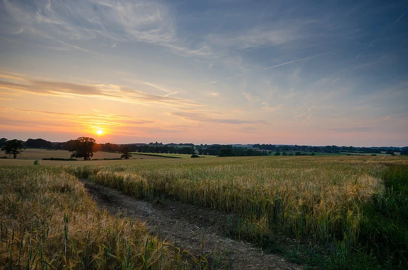 14607555226_d939ec7bc6_c.webp