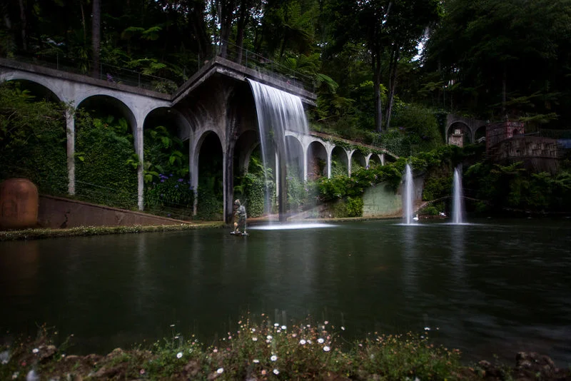 14660172411_46d5a6f8b5_c.webp