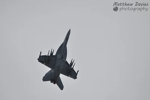 14706431623_0f7c3e2626.webp
