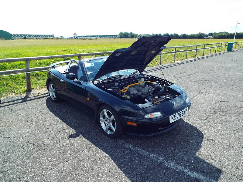14801793799_ccc00d3432_c.webp