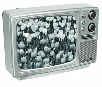 14_Inch_Black_And_White_B_W_Tv.webp