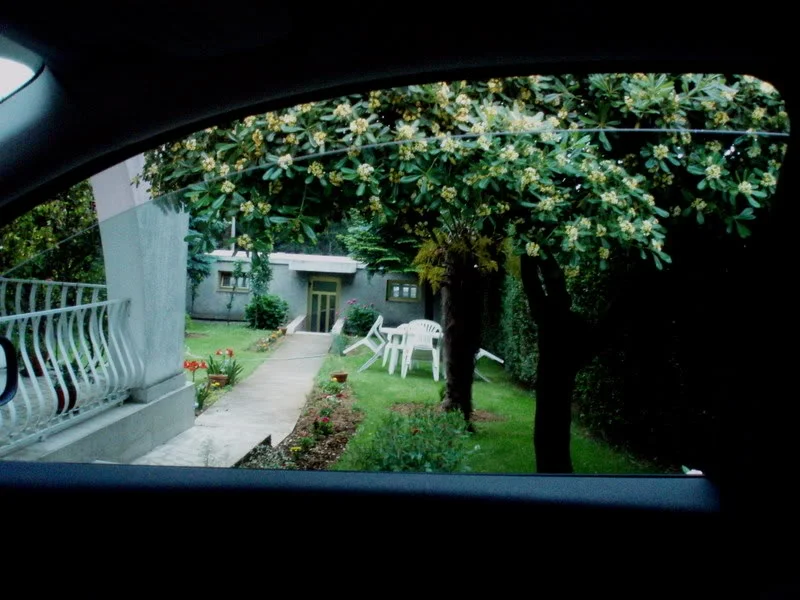 15.webp