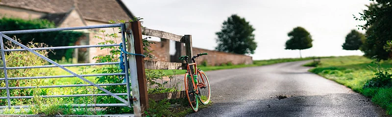 15081153491_7b882533aa_c.webp