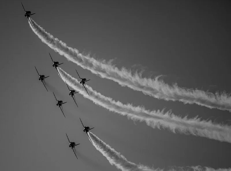 15201501172_ac7f557d83_c.webp