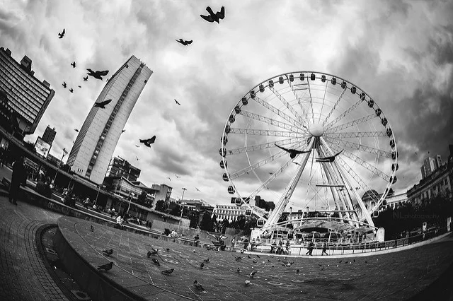 15416434156_59d9ac5e18_z.webp
