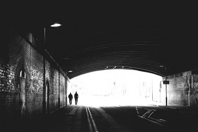 15418382868_f04d35c49b_z.webp