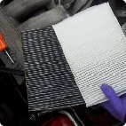 155071_zps778f18ac.webp