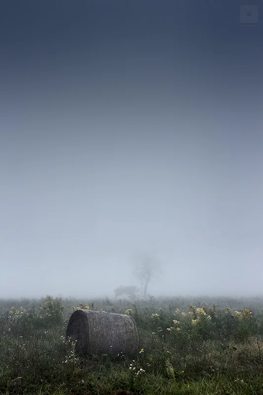 15545423915_0523c74bf5_o.webp