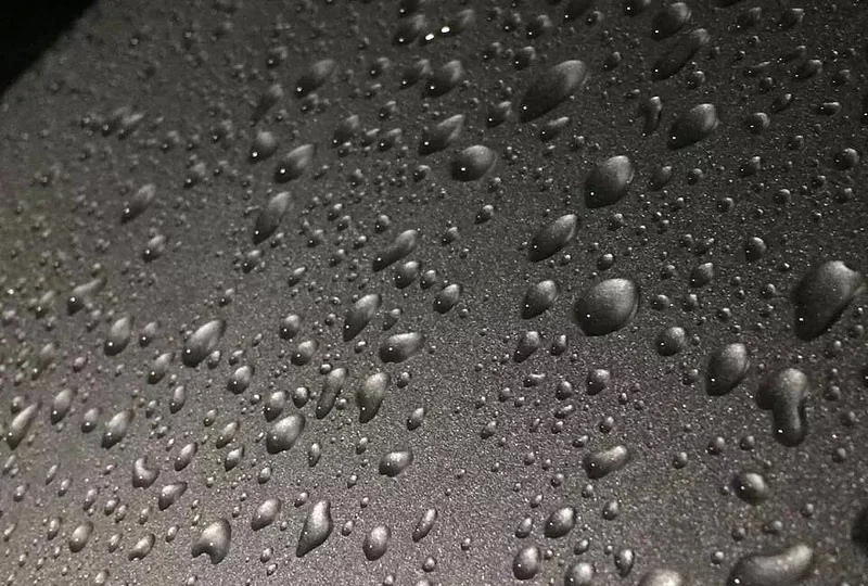 15729212862_a59b64f260_c.webp