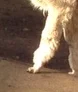 15812817260_b1f23fed4d_o.webp