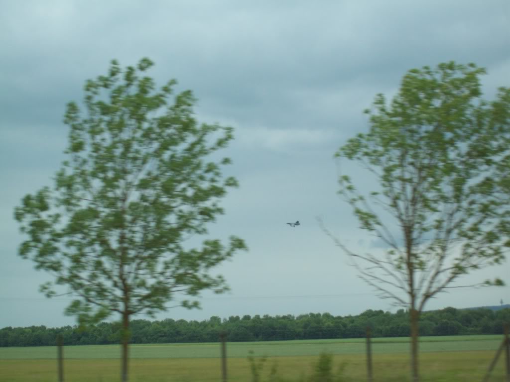 16-06-2010031.jpg 16-06-2010031.jpg