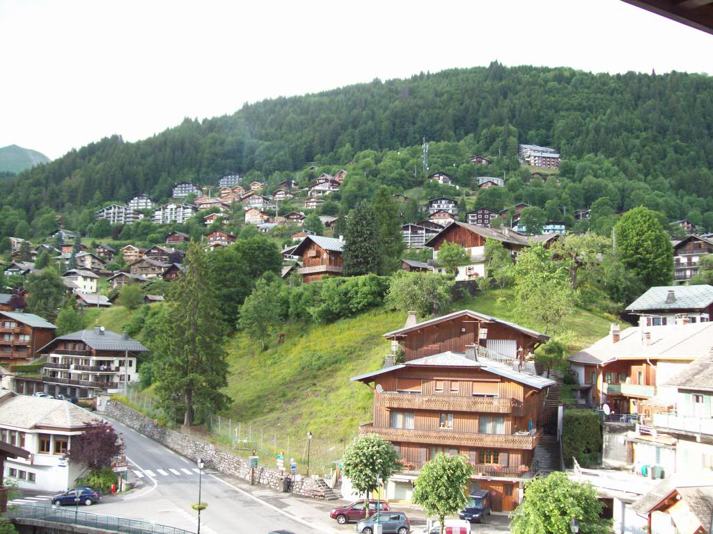 16-06-2010079.jpg 16-06-2010079.jpg