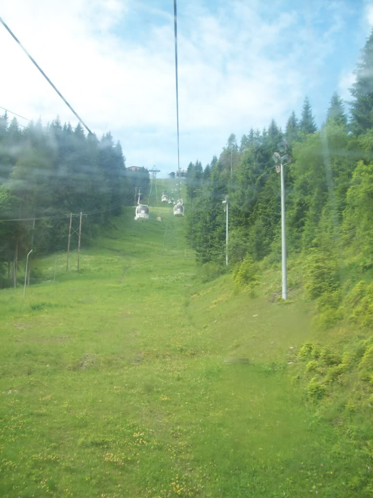 16-06-2010097.jpg 16-06-2010097.jpg