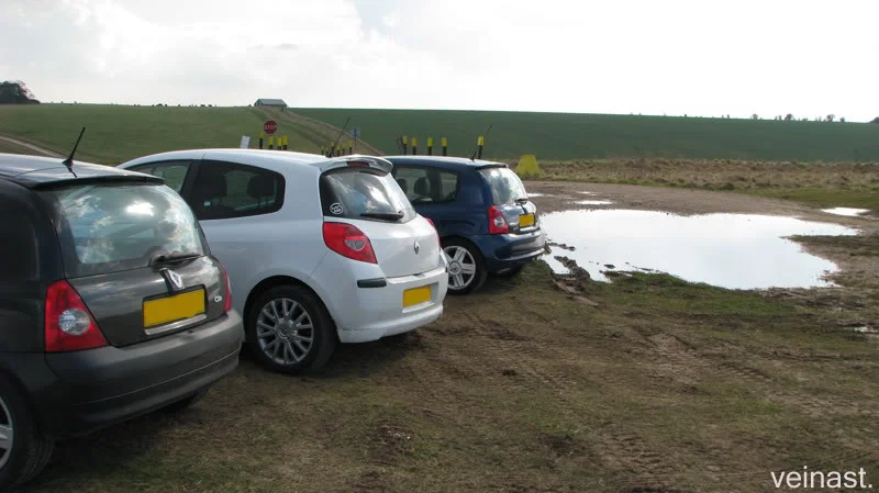 16.webp