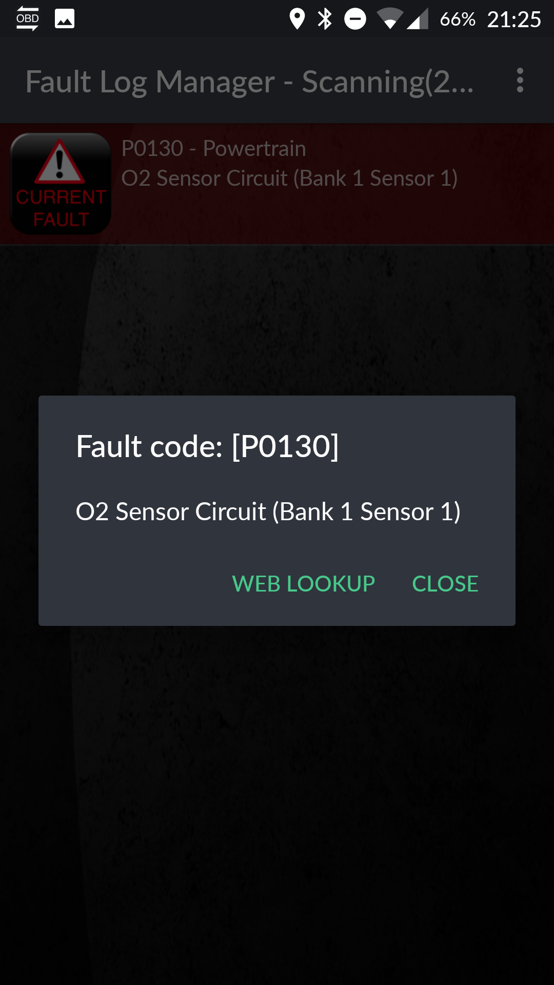 16231513_10154195204780911_861127472_o.png