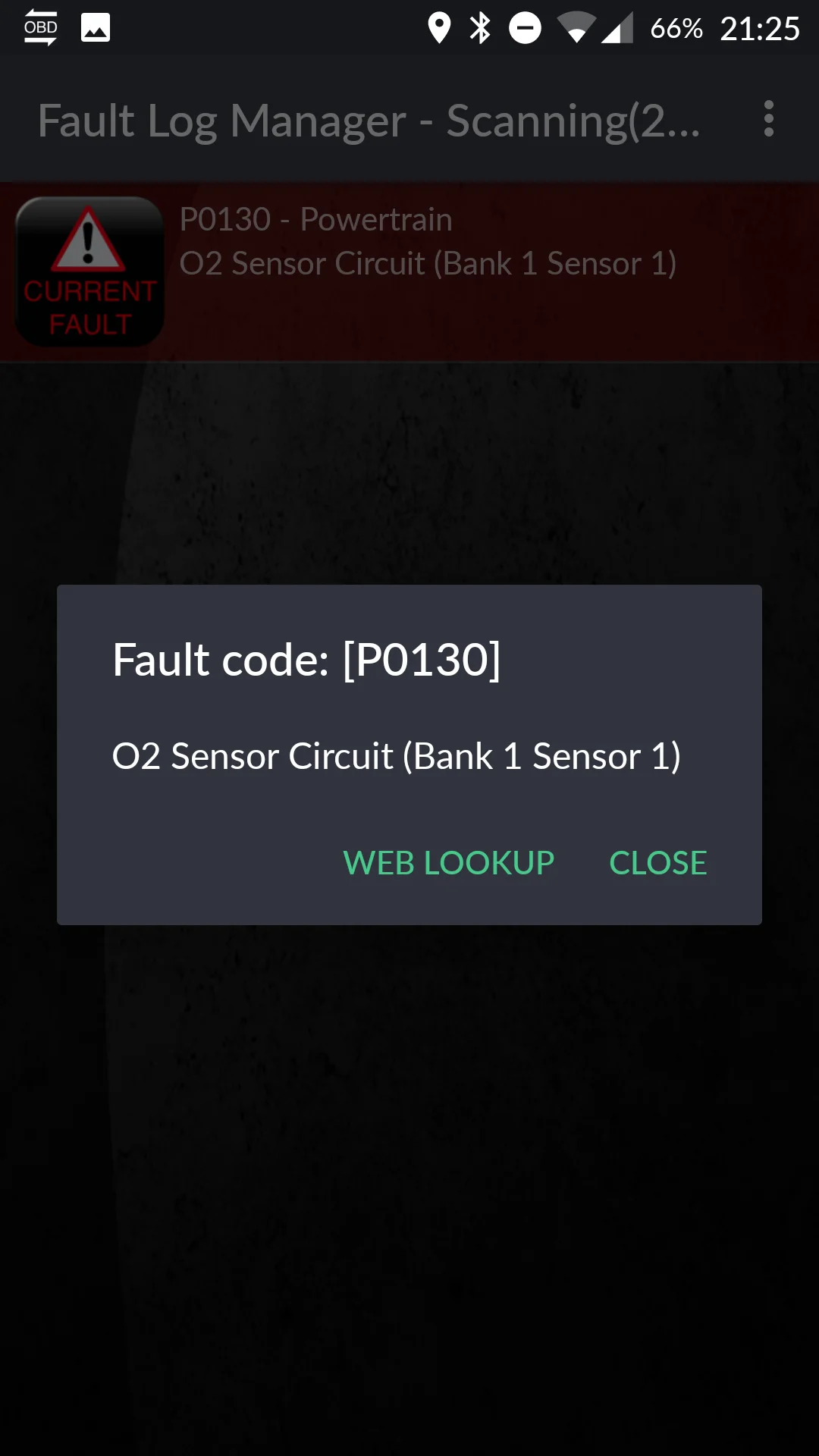 16231513_10154195204780911_861127472_o.webp