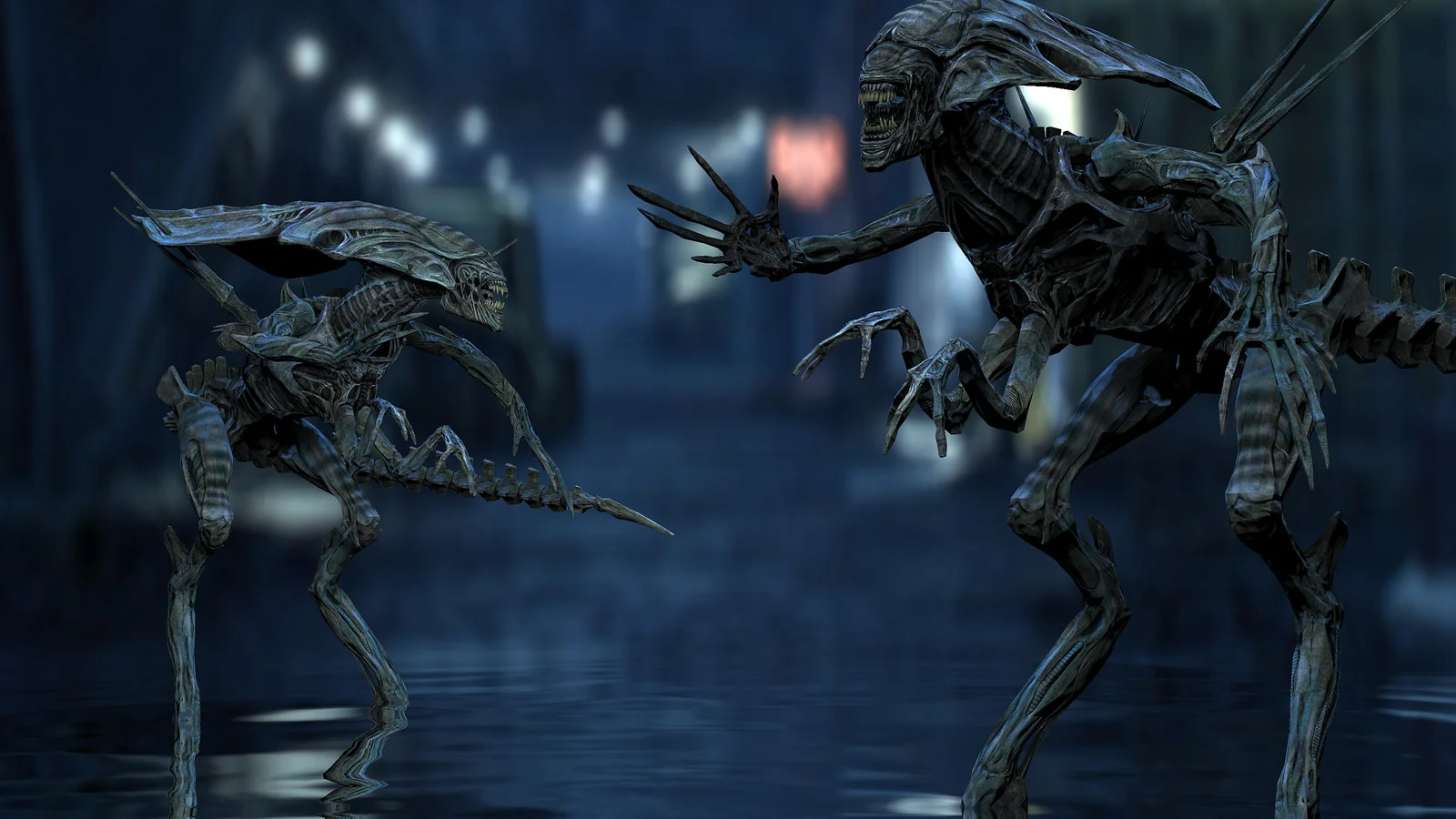 16294266771_38b3618c0e_h.webp