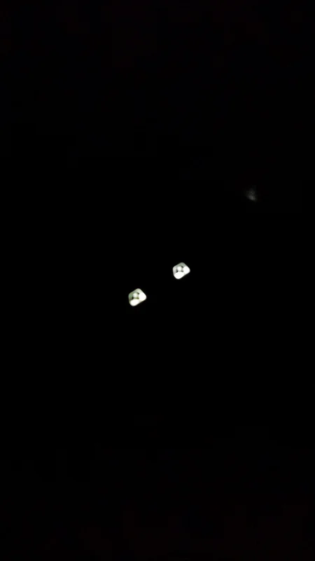 16302246805_51e006fccb_c.webp