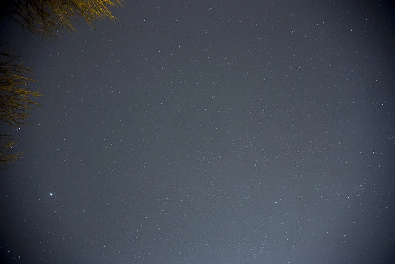 16398152247_6eb68433d1_c.webp