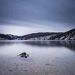 16499514584_5d5566eef2_q.webp