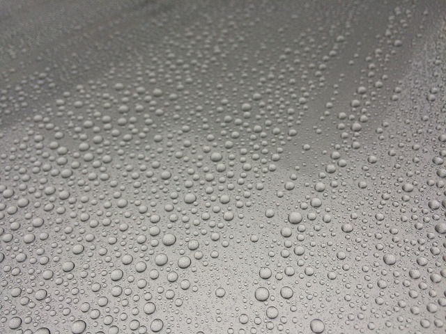 16555082494_c6e8f05499_z.jpg