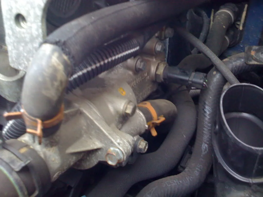 1673880085739.webp