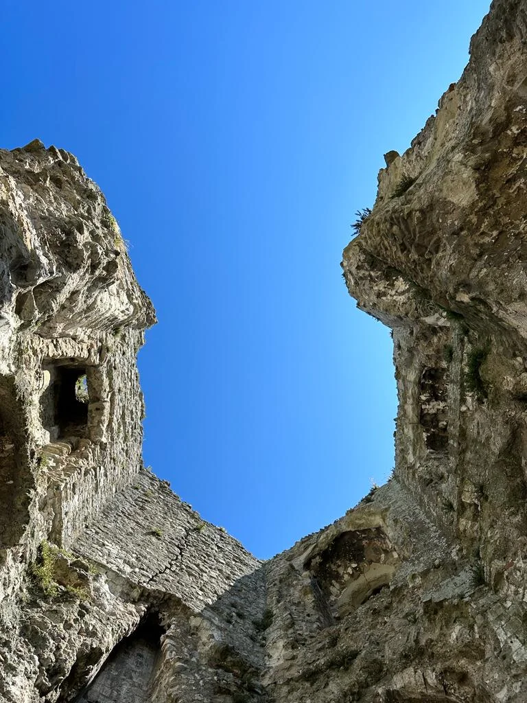 1692995142067.webp
