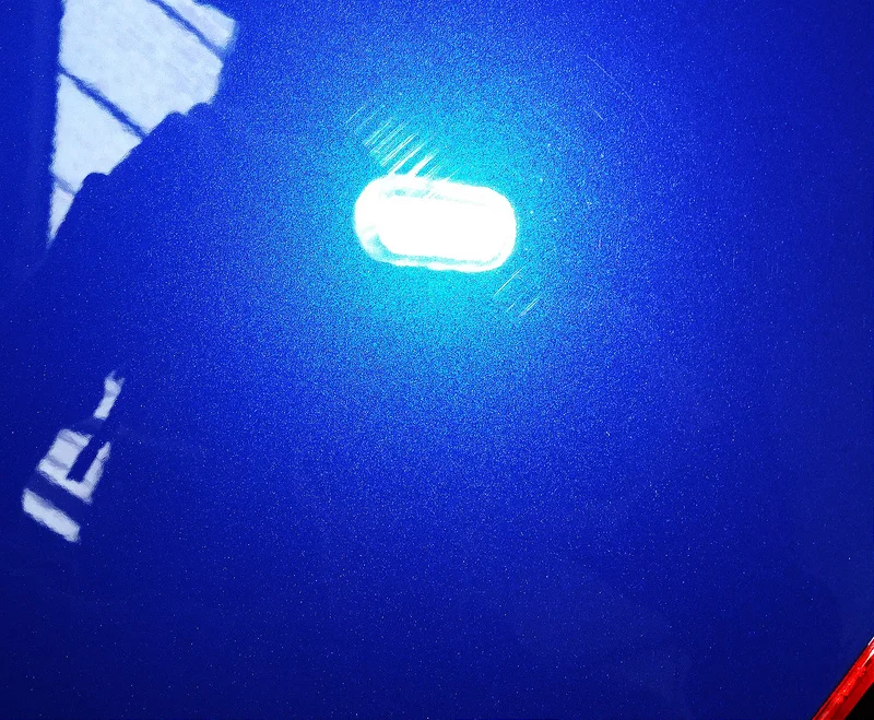 17094614049_ed4a4832e1_c.webp