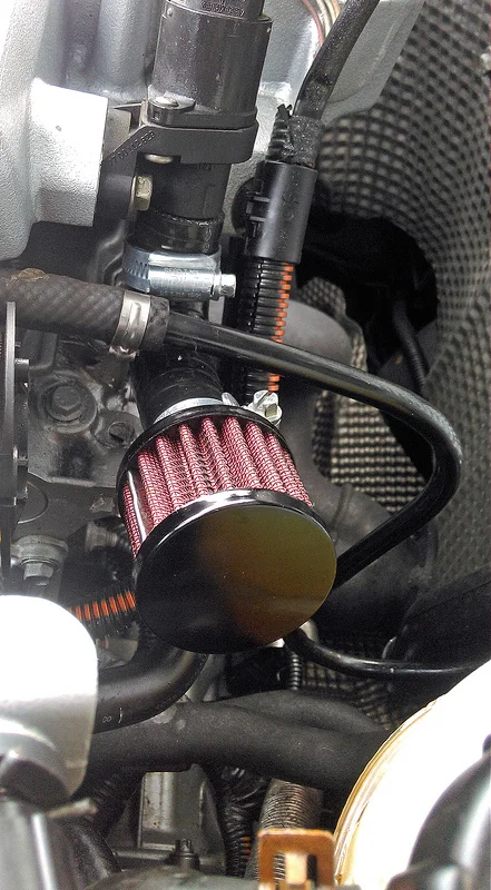 17137847687_a2dea68be4_c.webp