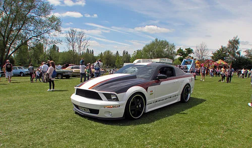 17170550453_643a3eb622_z.webp