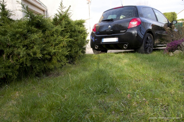172925Clio7.jpg
