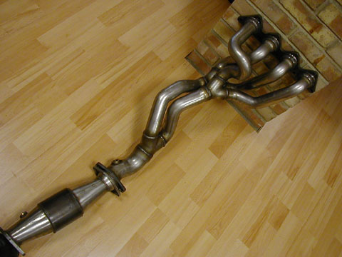 172_cat_manifold_1.jpg