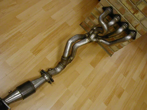 172_cat_manifold_1.webp