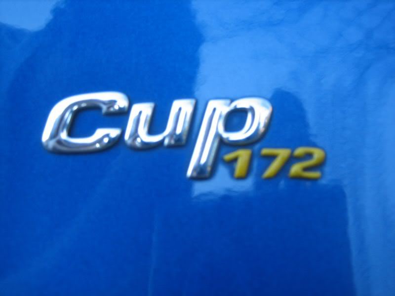 172cup3.jpg