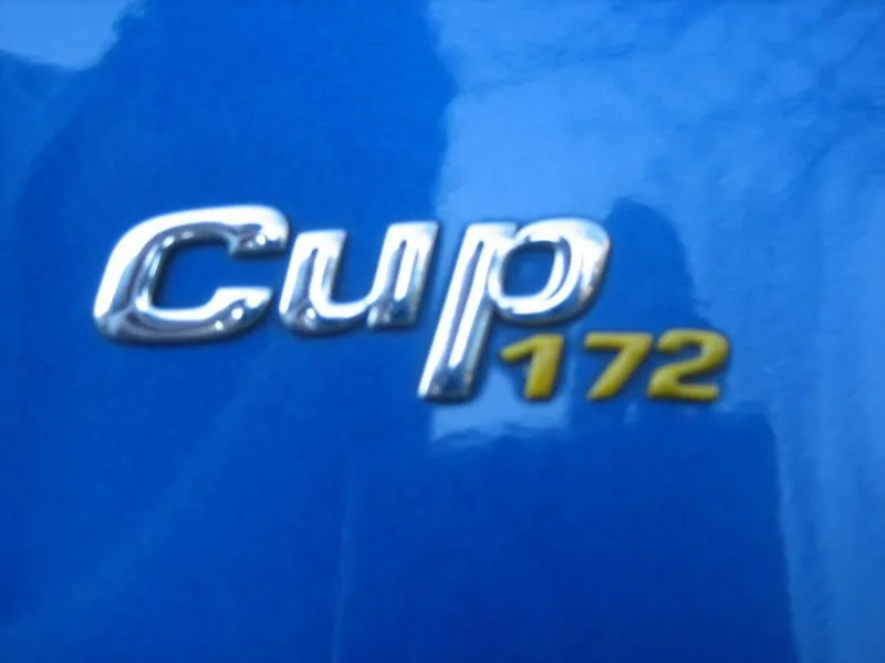 172cup3.webp