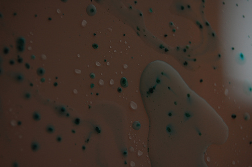 1749902651_b00c5033d0.jpg