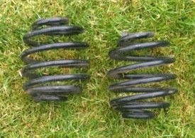 (177)%2090mm%20springs.jpg