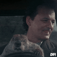 1787243992395.gif